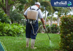 شركة رش دفان بجازان