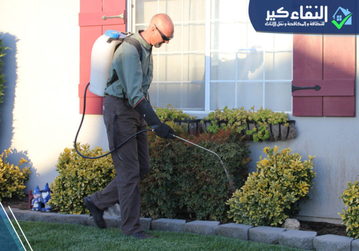 دورة حياة الدفان و مكافحة النمل الابيض