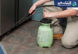 شركة مكافحة حشرات بنجران
