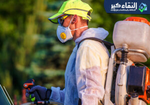 افضل شركة للقضاء على الصراصير