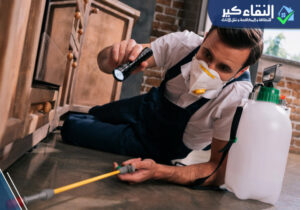 شركة مكافحة حشرات بالاحساء