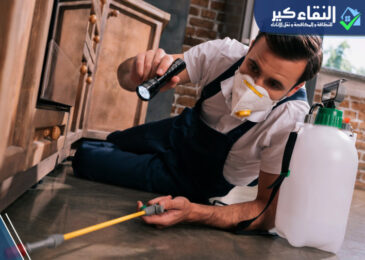 شركة مكافحة حشرات بالاحساء