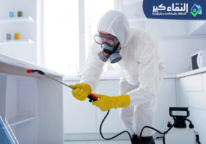 شركة مكافحة حشرات بجازان