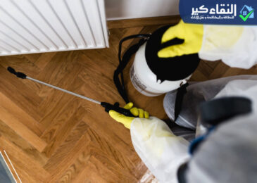 شركة مكافحة حشرات بابها