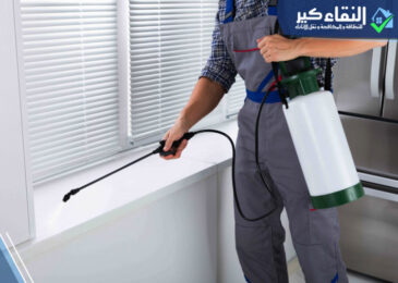 شركة مكافحة حشرات بحائل القصيم بريدة
