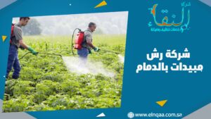 شركة رش مبيدات بالدمام