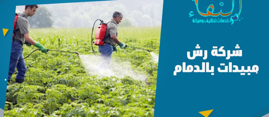 شركة رش مبيدات بالدمام