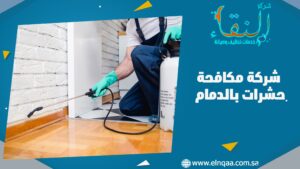 شركة مكافحة حشرات بالدمام