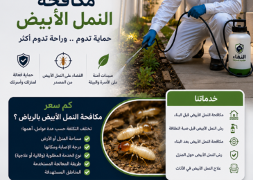 كم سعر مكافحة النمل الأبيض بالرياض