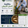 كم سعر مكافحة النمل الأبيض بالرياض